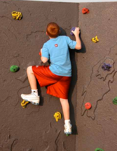 Customized Deluxe Climbing Wall Panel - actionbasedlearning