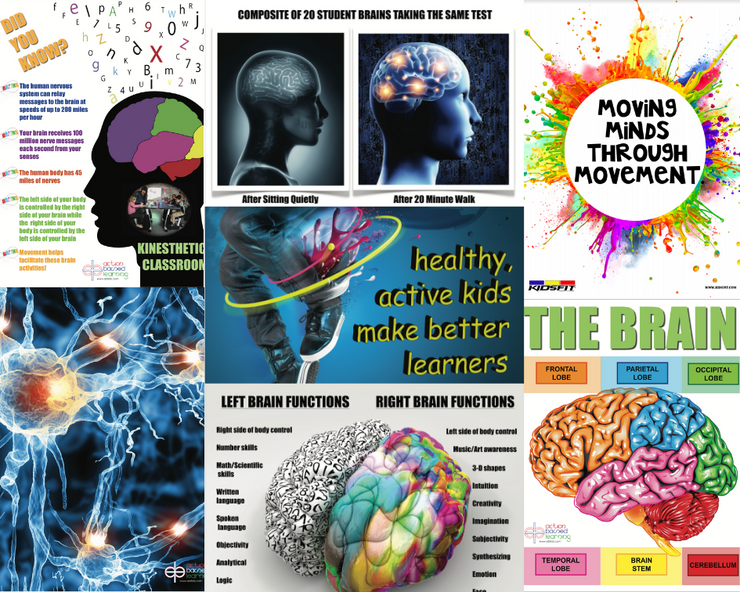 Body Brain Adventure Graphics Package - actionbasedlearning